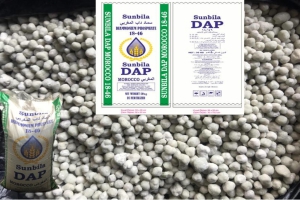 DAP Moroccan